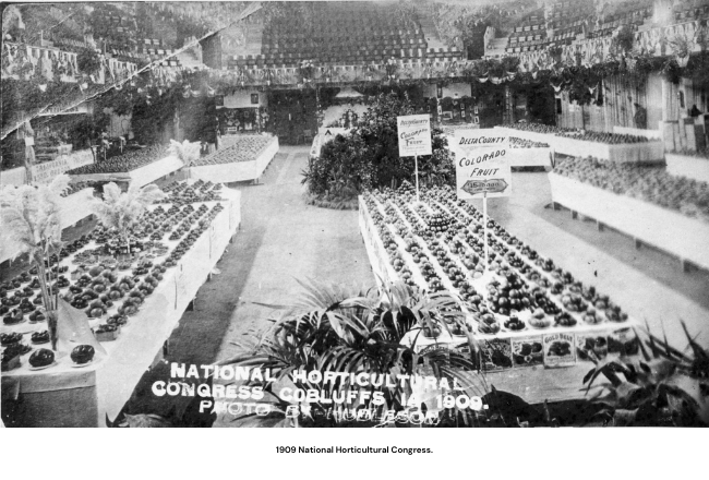 Photograph of National Horticultural Congress