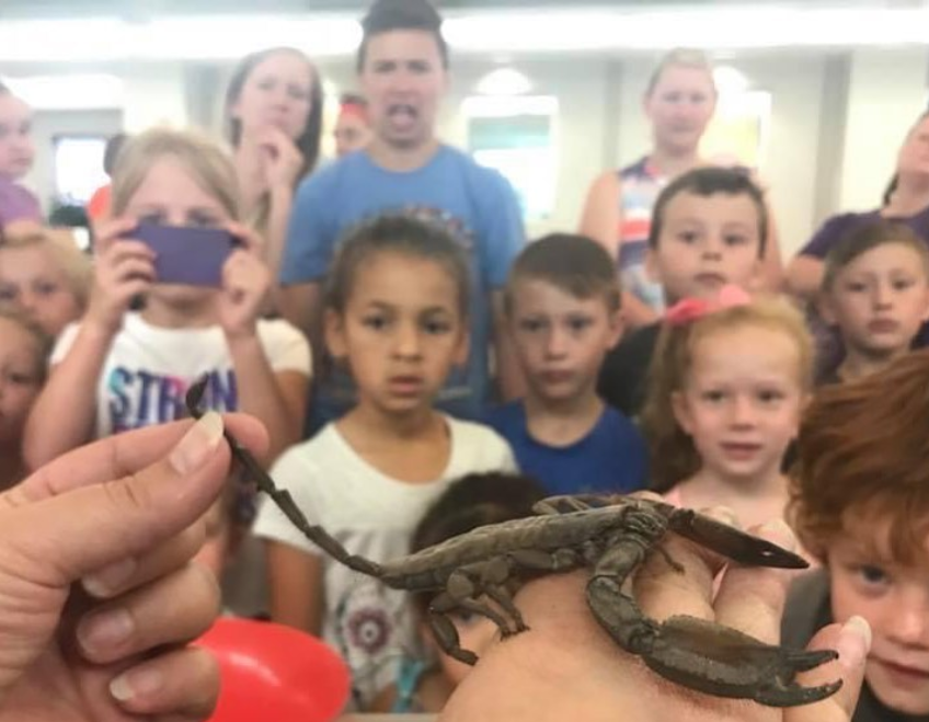 Person holding a scorpion while children watch.