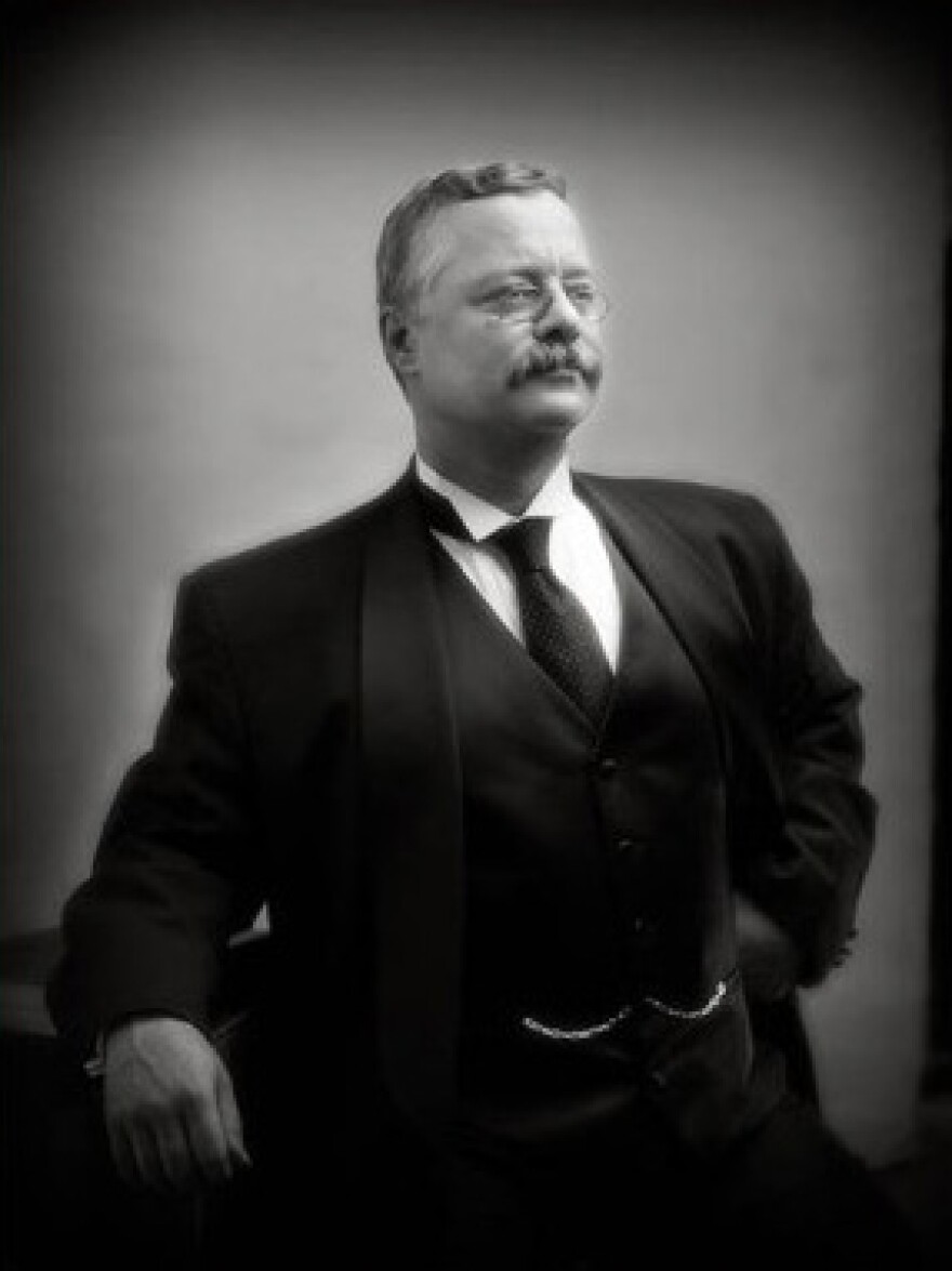 Joe Wiegand as Theodore Roosevelt