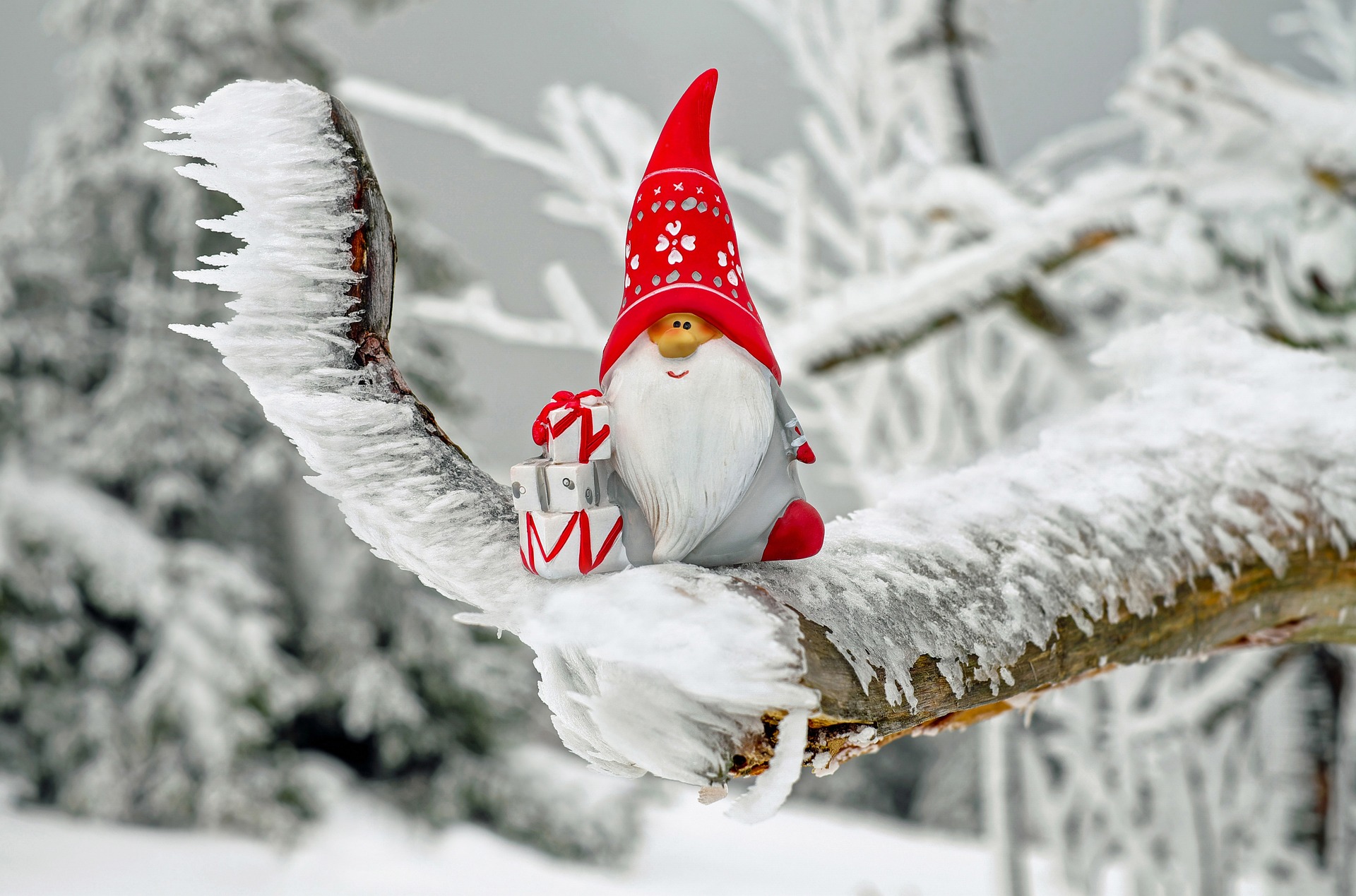 A gnome in a snowy setting