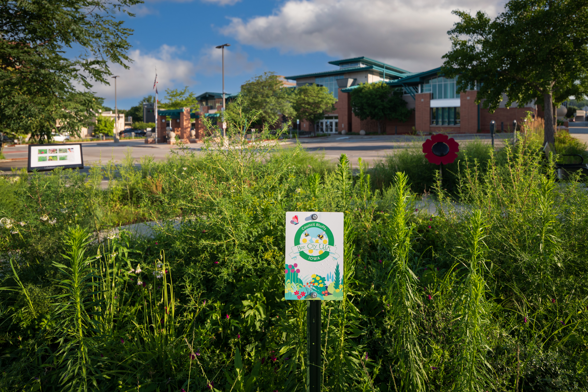 Micro prairie at the Library2