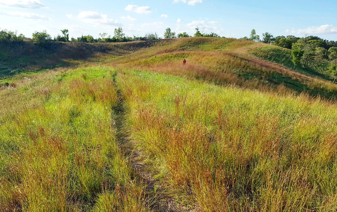 Vincent Bluff State Preserve