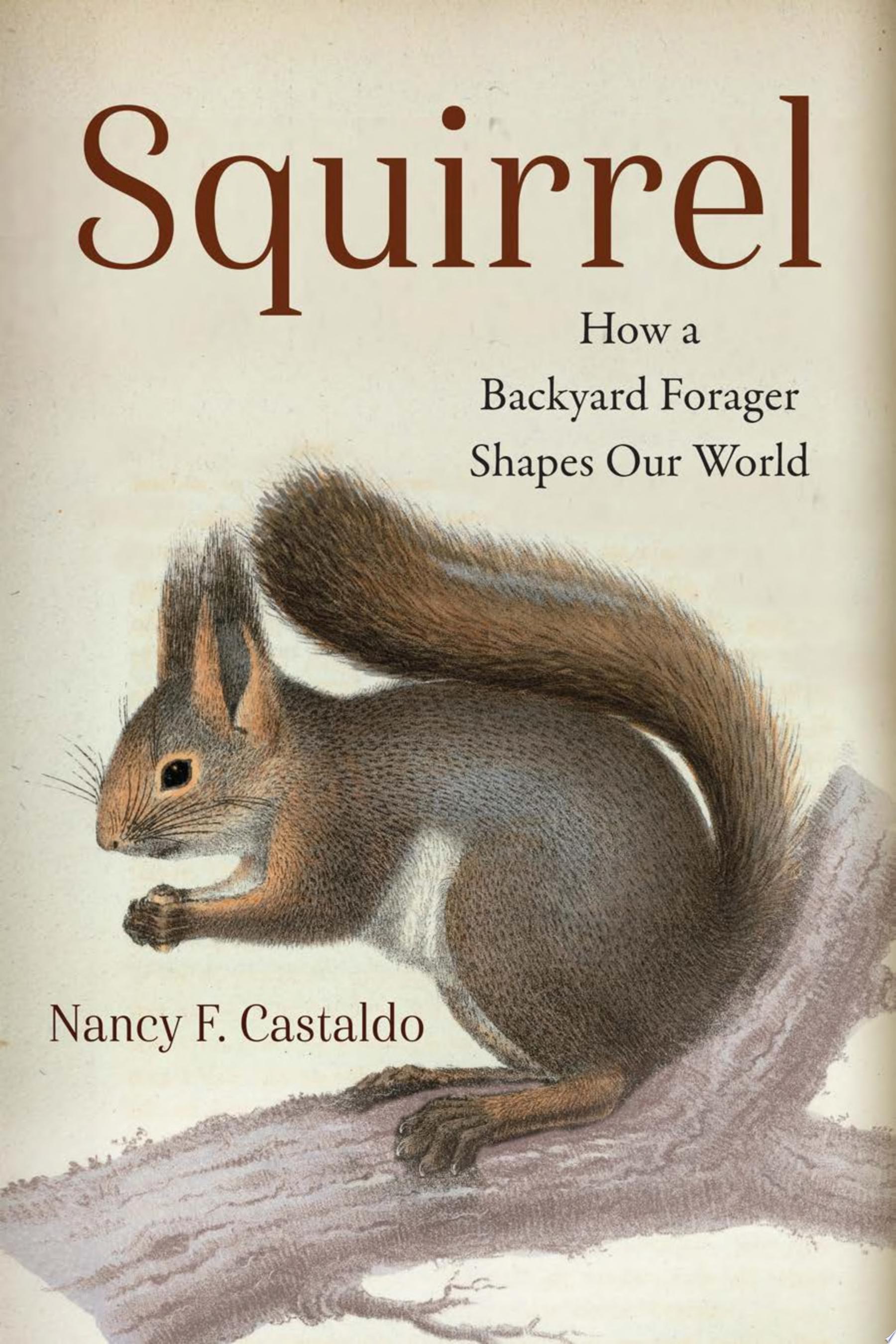 Cover for "Squirrel" by Nancy Castaldo
