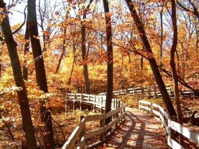 Fontenelle Forest