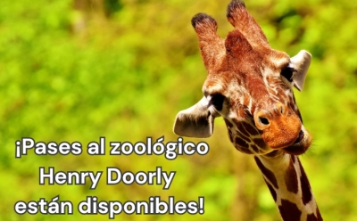 Giraffe with text pases al zoologico henry doorly estan disponibles!
