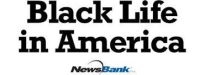 Black Life in America logo