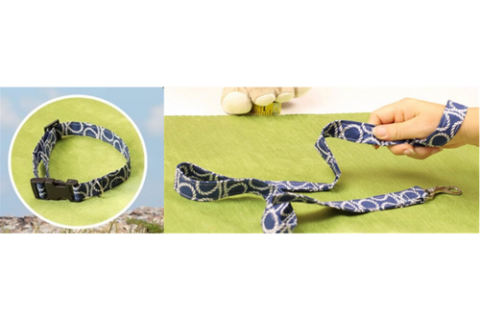 Photo of a collar & hand holding a leash