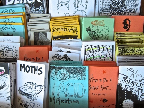 display rows of assorted zines