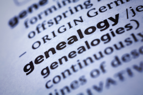 Photo of genealogy entry in the dictionary