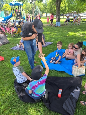 A child touching a tortoise.