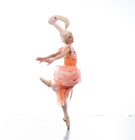 Flamingo ballet dancer