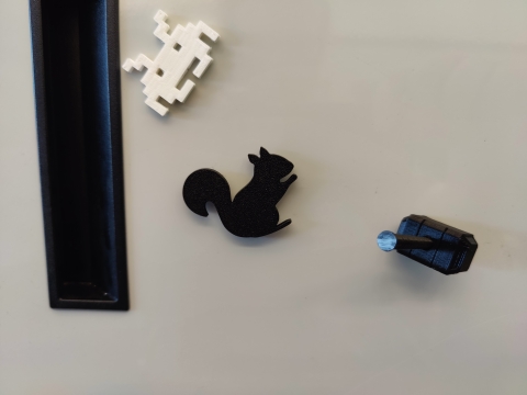 black squirrel magnet