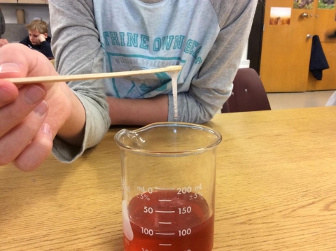 participant exploring DNA in beaker