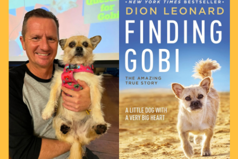 Finding Gobi 