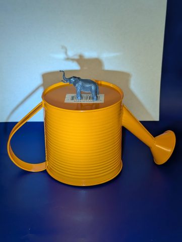 Elephant on a paint can and the shadows.