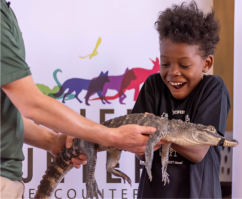 Boy holding an alligator.