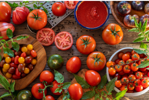 red, green, and cherry tomatoes with bowl of tomato sauce surrounded by fresh herbs