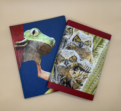 Book with a frog and a book with an owl on the covers.