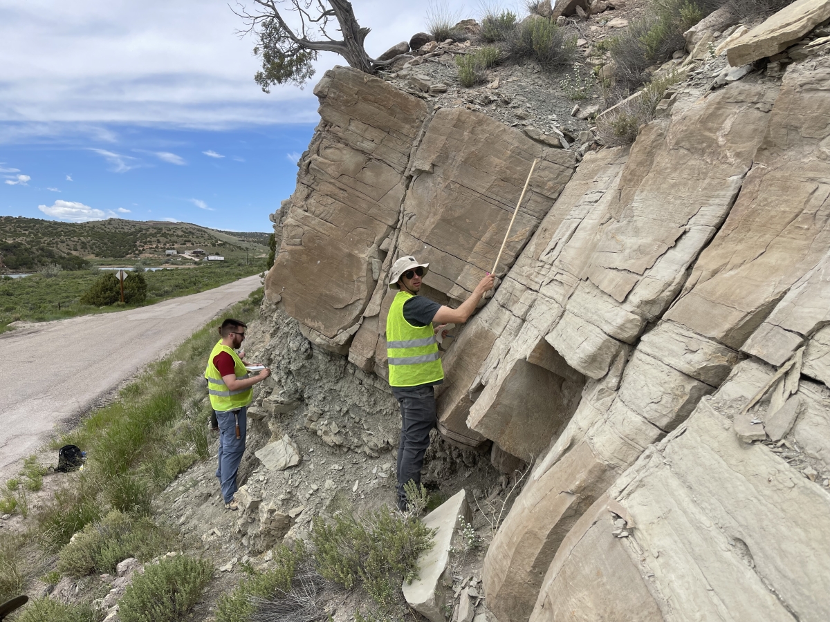 Fossils Under Your Feet Cliff Climbing
