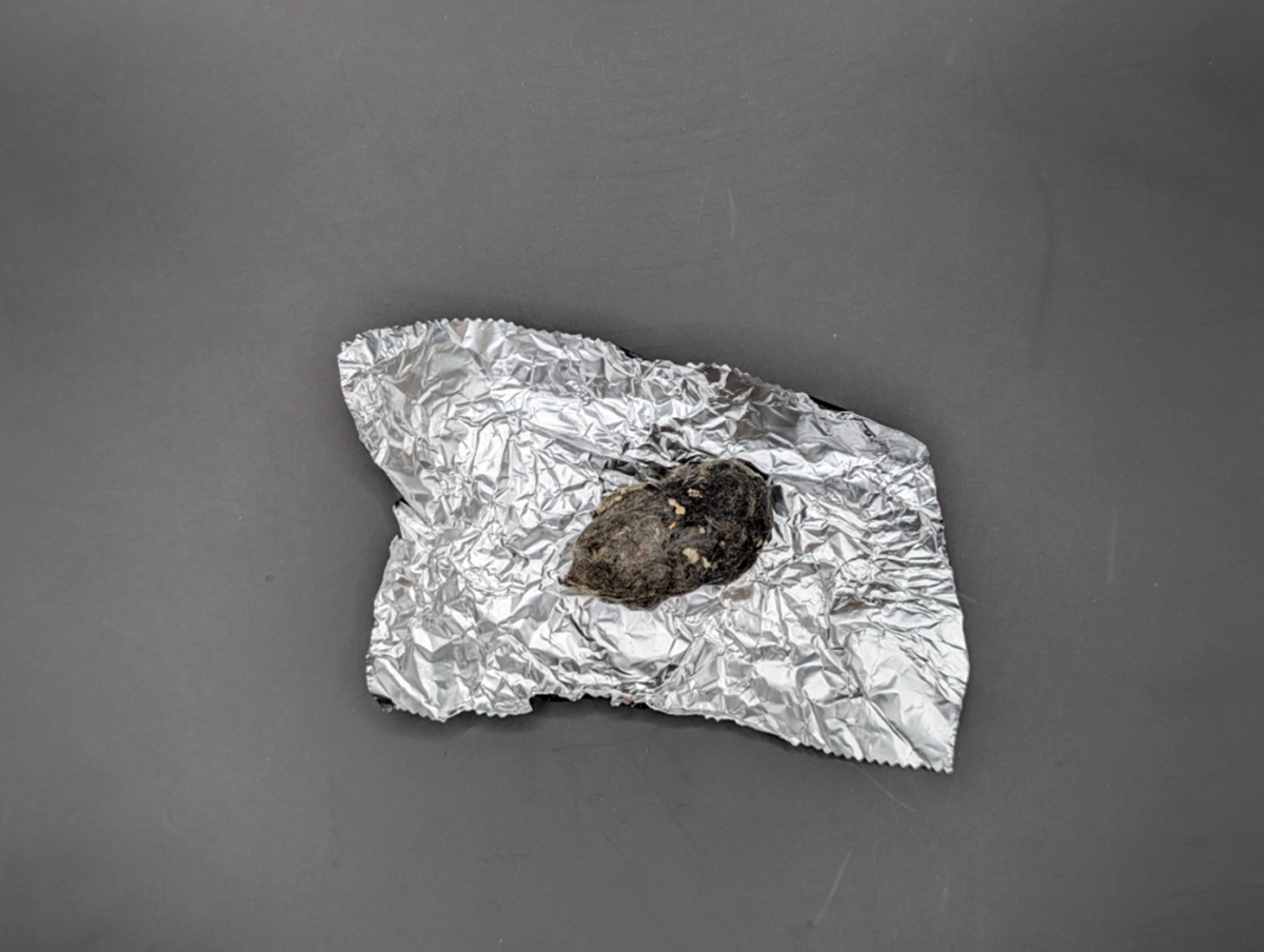Owl pellet in foil