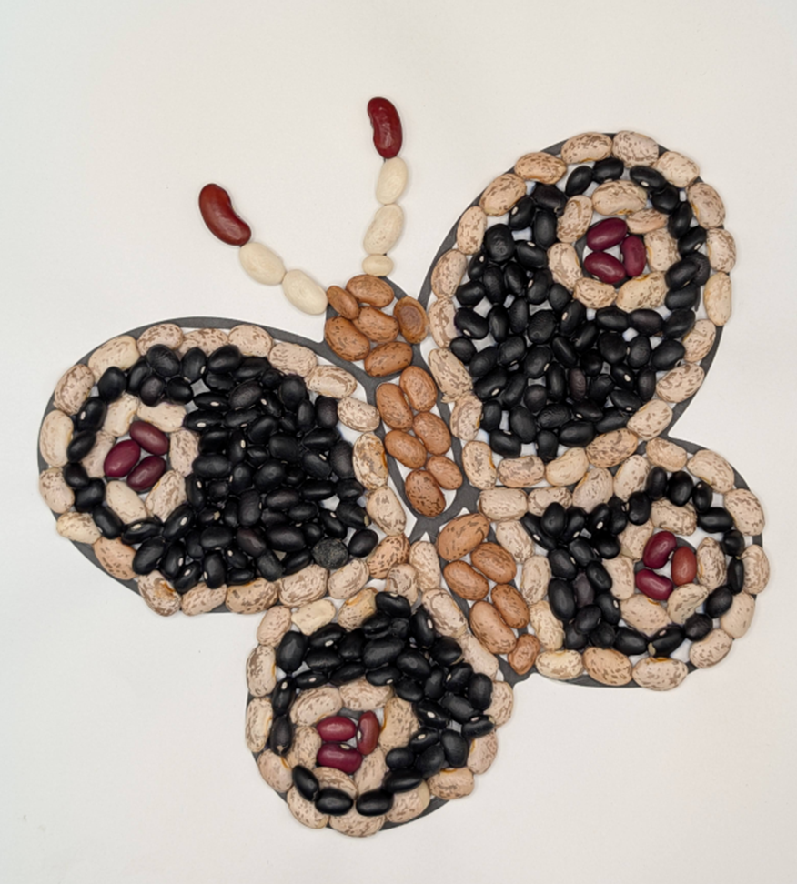Butterfly made from seeds.