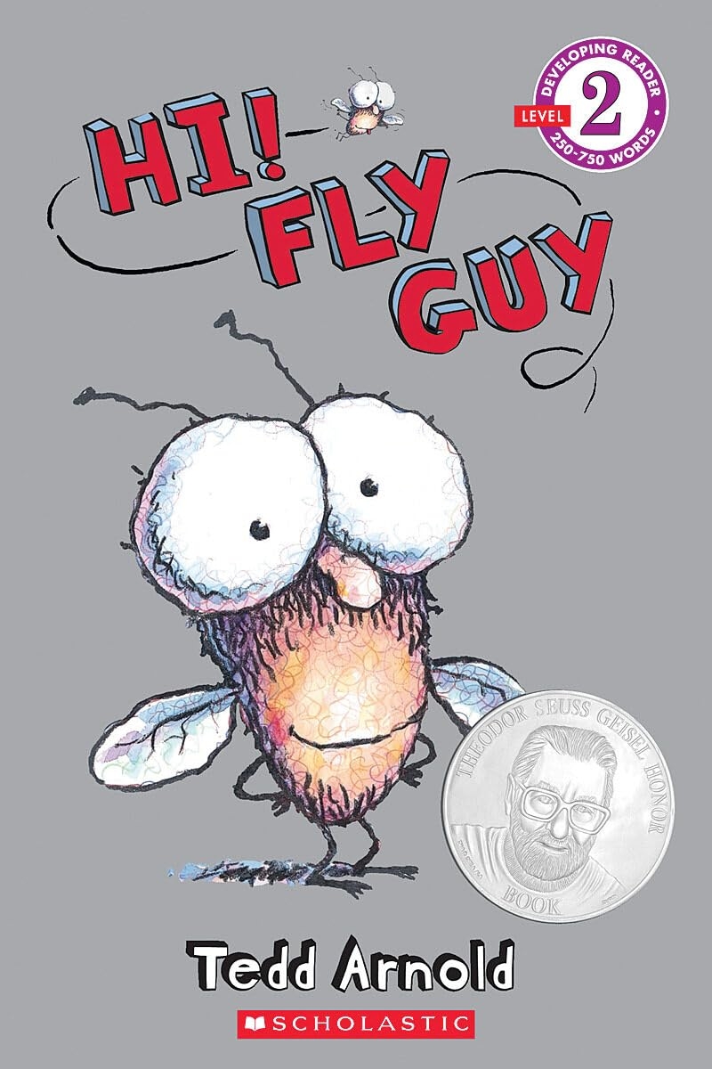 Fly Guy book