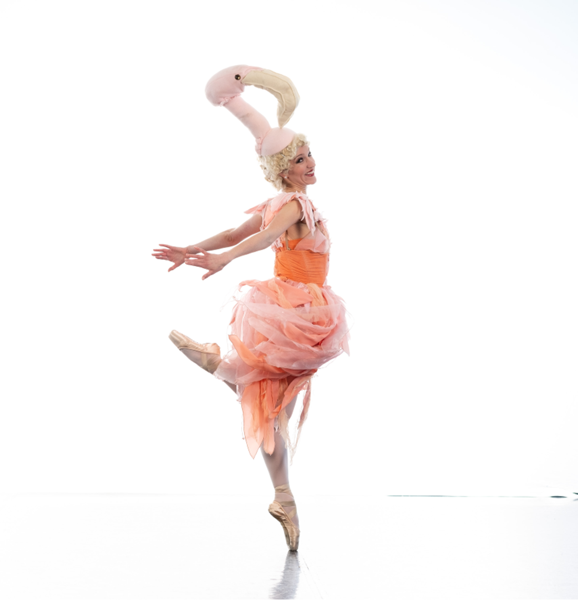 Flamingo ballet dancer